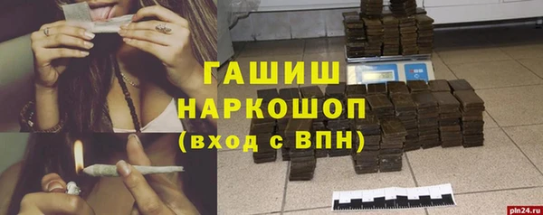 индика Абаза