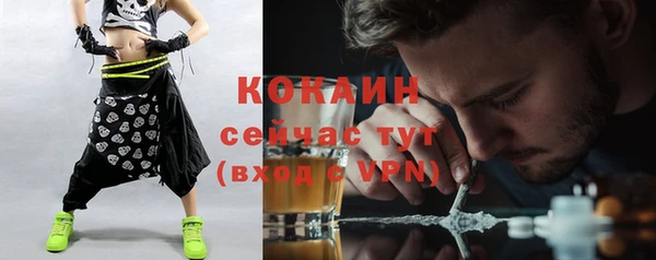 apvp Алексин