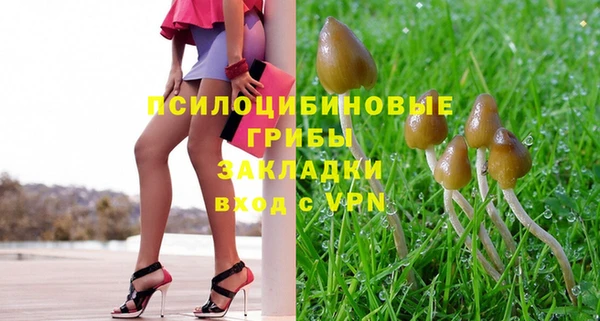 трава Абдулино
