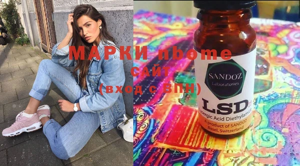 индика Абаза